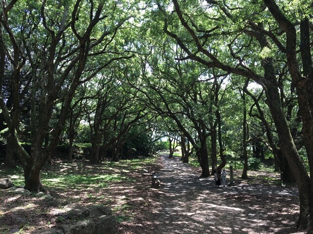 名護屋城三の丸