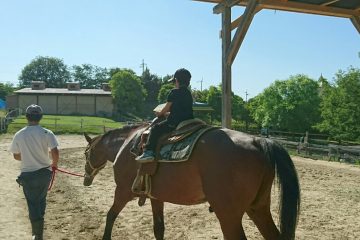 ハーベストの丘の乗馬体験は、係の人がひいてくれるので子供でも安心して乗馬できます。
