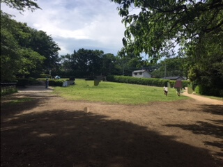 県立東高根森林公園の芝生は日陰がないので、暑い日は日除け対策が必要です。