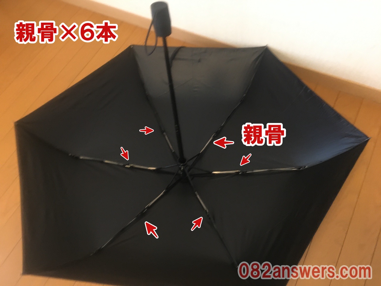 親骨×6本の日傘